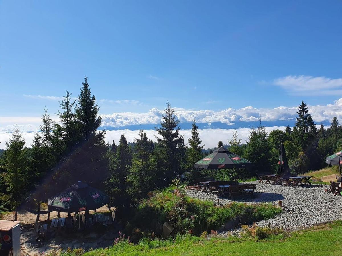 Domek W Gorach- Bacowka U Dudka ノヴィ・タルク エクステリア 写真
